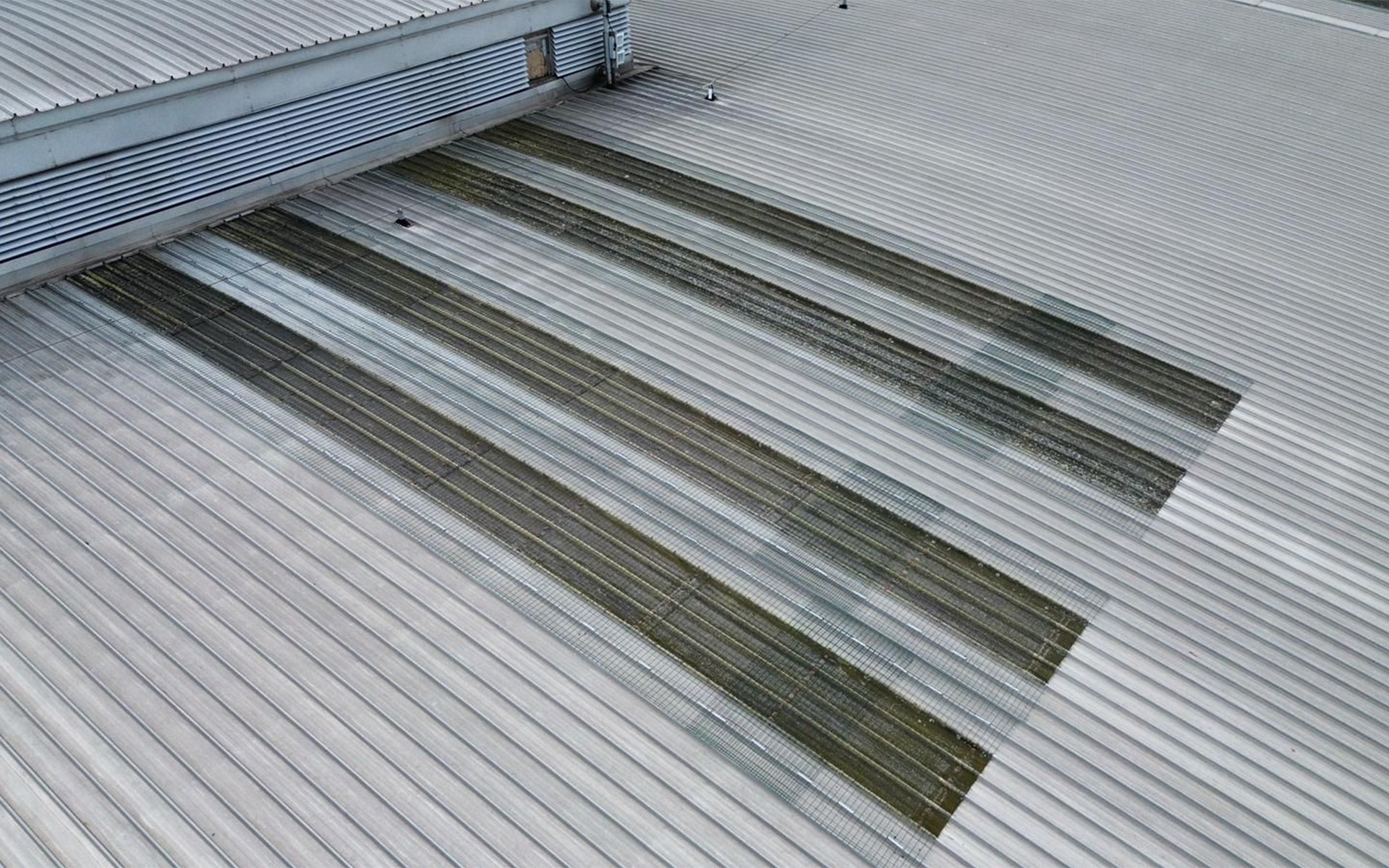 Permanent skylight fall protection system installed over fragile rooflights on corrugated metal industrial roof 