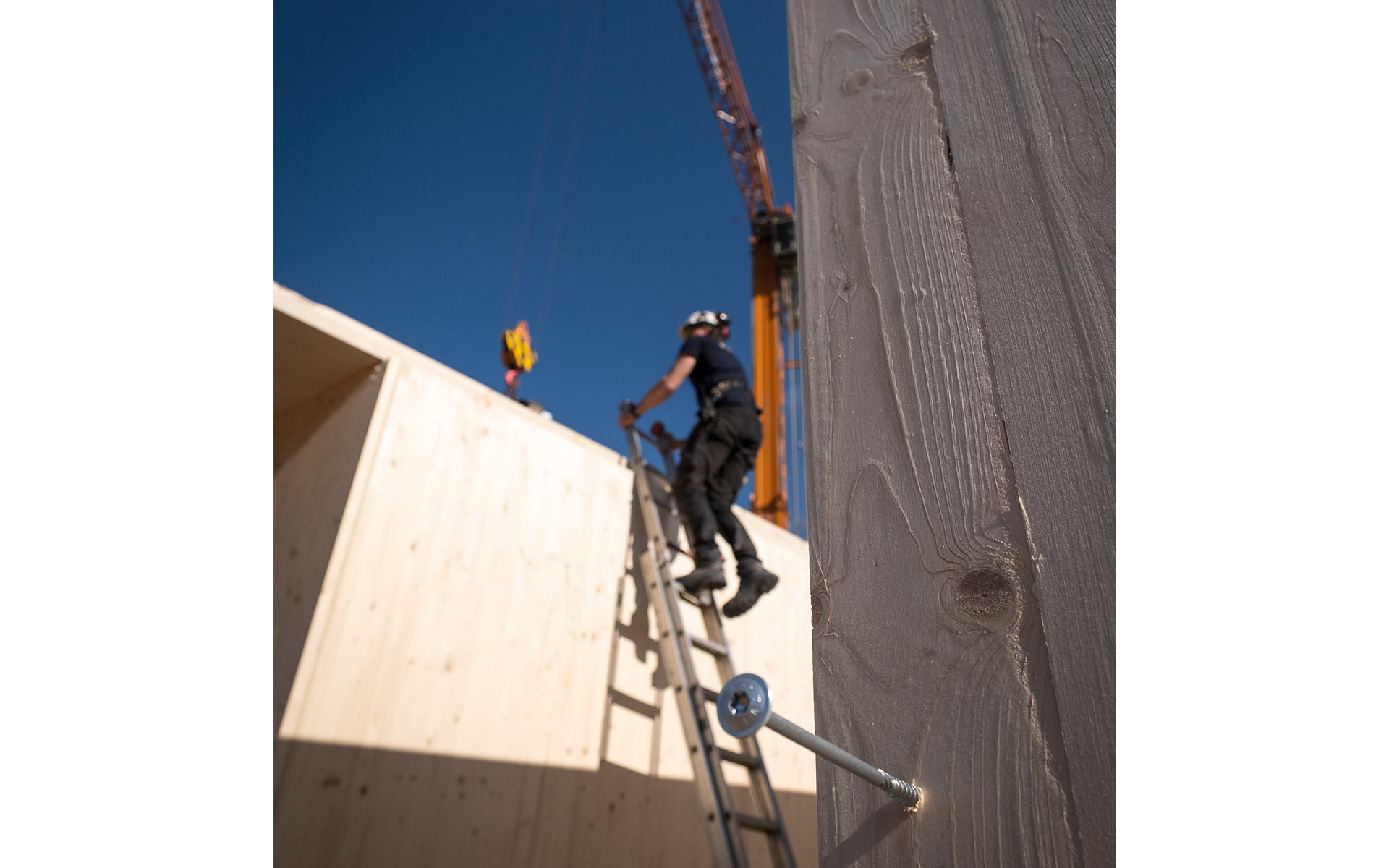 Structural screw connection in CLT panel for timber pavilion construction
