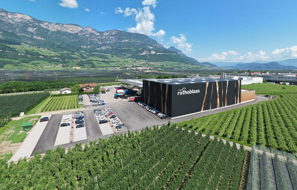 PROGETTAZIONE STRUTTURALE DEGLI EDIFICI IN LEGNO